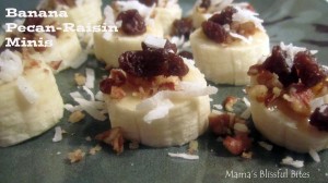 Banana Pecan Raisin Bites 2