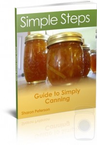 simple-steps-guide-cover40x509