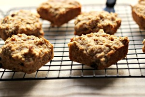 Oat Muffins A